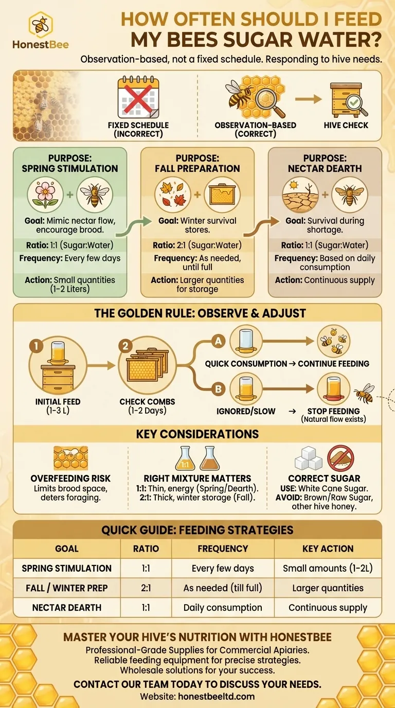 Com que frequência devo alimentar as minhas abelhas com água com açúcar? Um guia sobre o momento e as técnicas Guia Visual