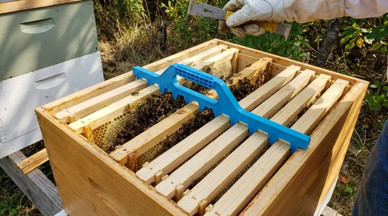 Сколько рамок помещается в улье на 10 рамок? Оптимизируйте свой улей для сбора меда или расплода