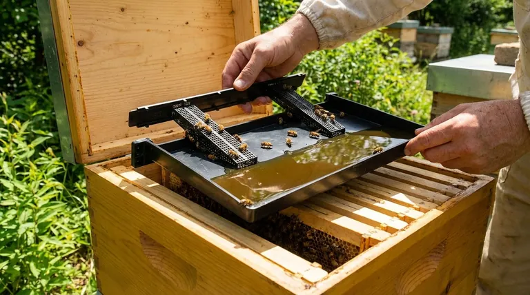 프레임 피더는 얼마나 많은 액체를 담을 수 있나요? 적절한 용량으로 벌통의 영양 공급을 최적화하세요