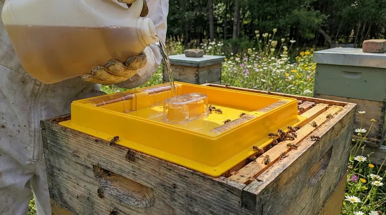 蜂箱顶部喂食器如何工作?高效、受保护喂食指南