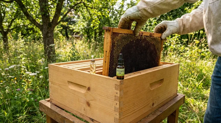 Was kann ich in meinen Bienenstock legen, um Bienen anzulocken? Bewährte Lockstoffe und Standorttipps für den Erfolg