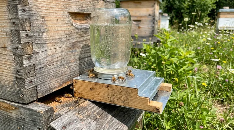 Como fazer um alimentador de entrada para abelhas? Um Guia para Alimentação Segura e Eficaz da Colmeia