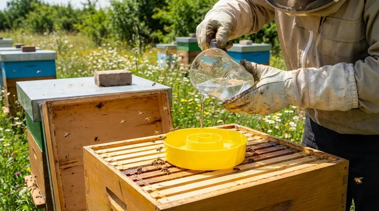 Quando devo começar a alimentar as abelhas com xarope? Os 4 momentos críticos para apoiar a sua colmeia
