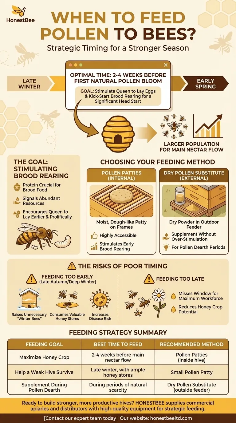 Quando alimentar as abelhas com pólen? Aumente a Força da Sua Colmeia para uma Colheita de Mel Maior Guia Visual