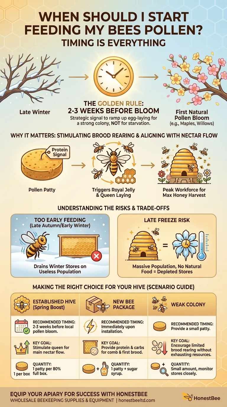 ¿Cuándo debo empezar a alimentar a mis abejas con polen? Domina el momento para una colonia fuerte en primavera Guía Visual