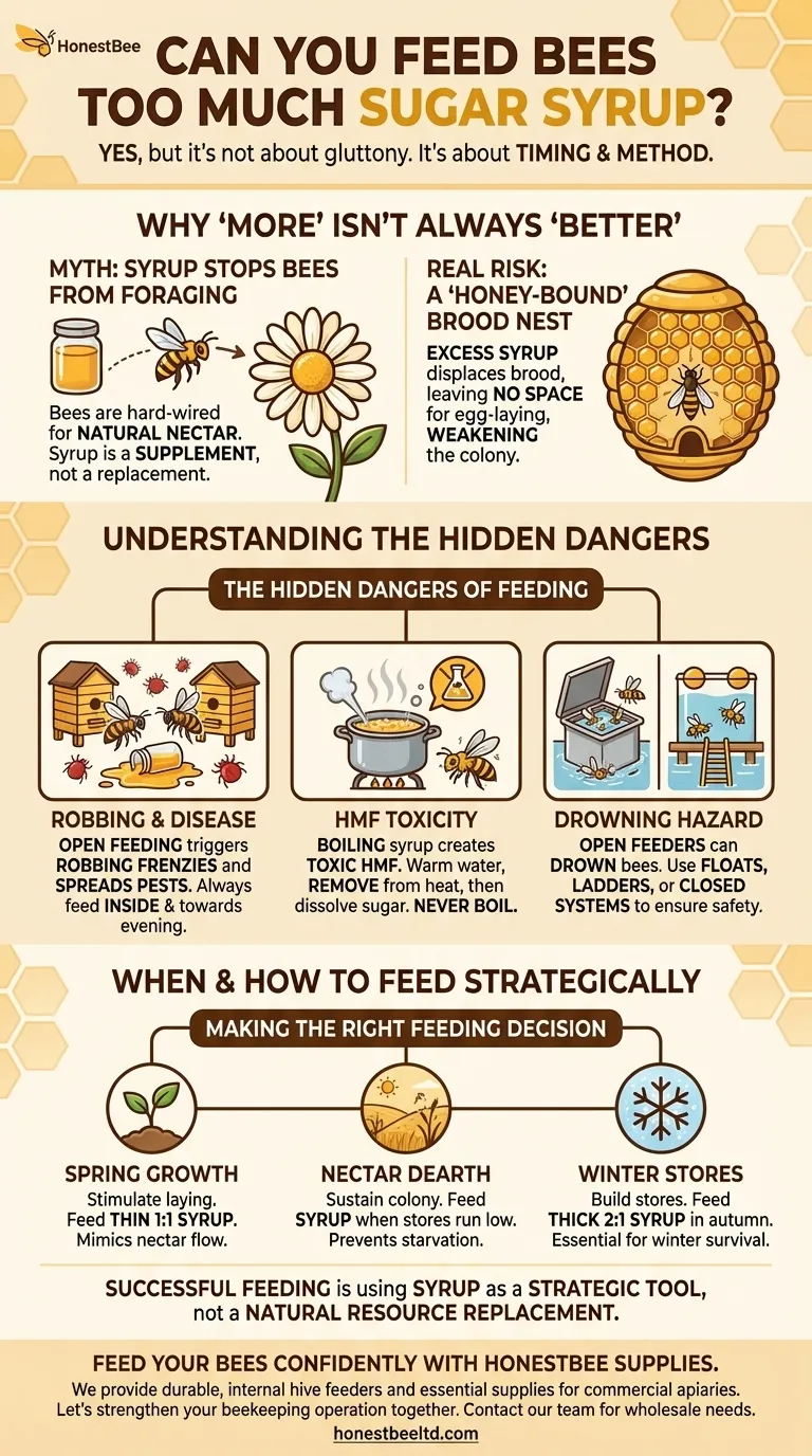 Você pode alimentar abelhas com muito xarope de açúcar? Evite Estes Erros Críticos na Apicultura Guia Visual