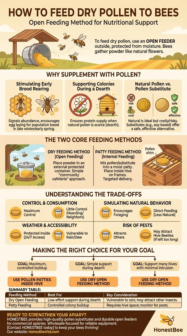 Как кормить пчел сухой пыльцой? Увеличьте силу колонии с помощью эффективных добавок Визуальное руководство