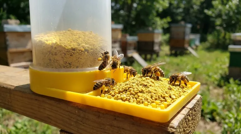 How to feed dry pollen to bees? Boost Colony Strength with Effective Supplementation