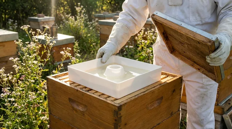 What is the best way to top feed bees? A Safe, High-Volume Feeding Solution for Your Apiary
