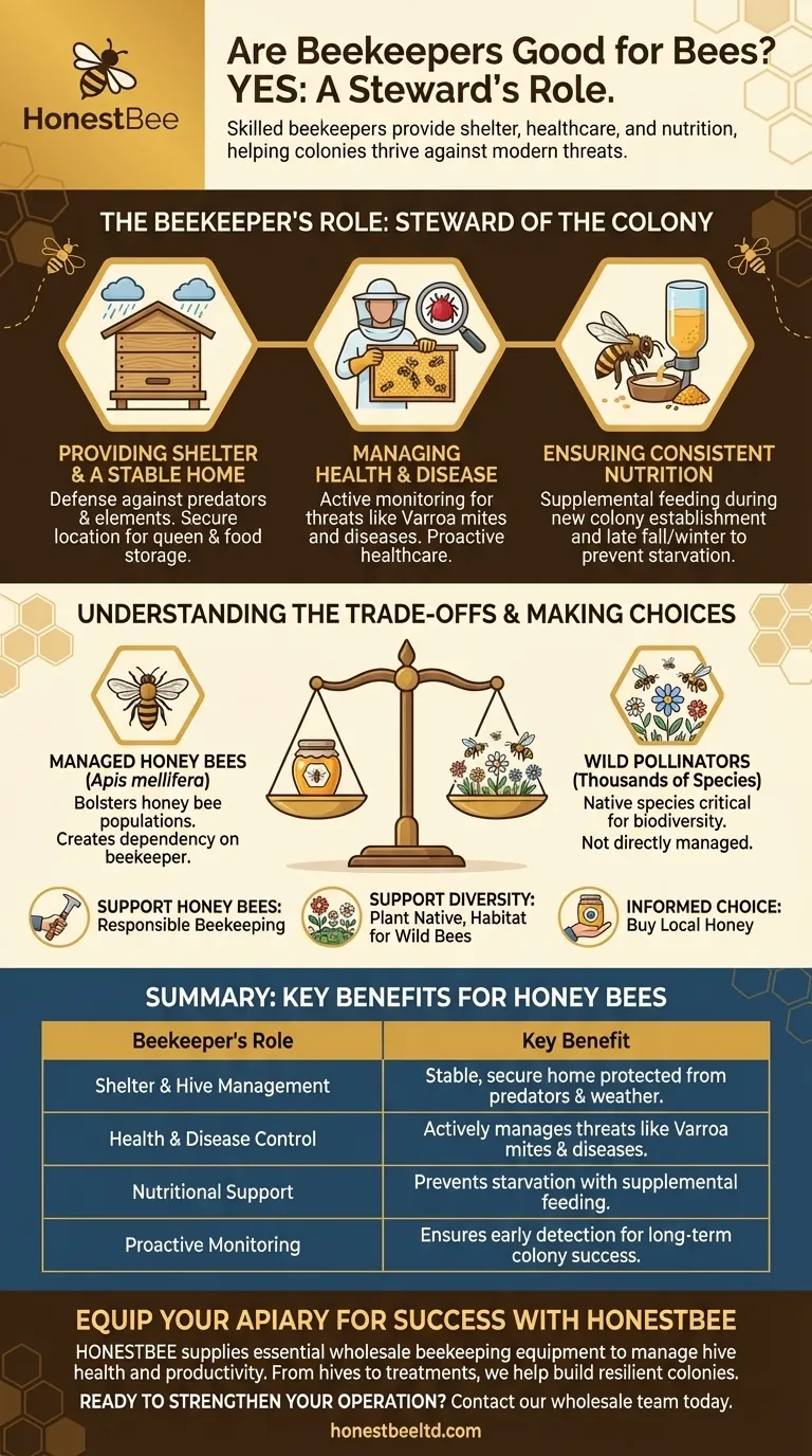 養蜂家はミツバチにとって良い存在なのか？熟練した養蜂家はいかにしてコロニーの健康と生存を確保するのか ビジュアルガイド