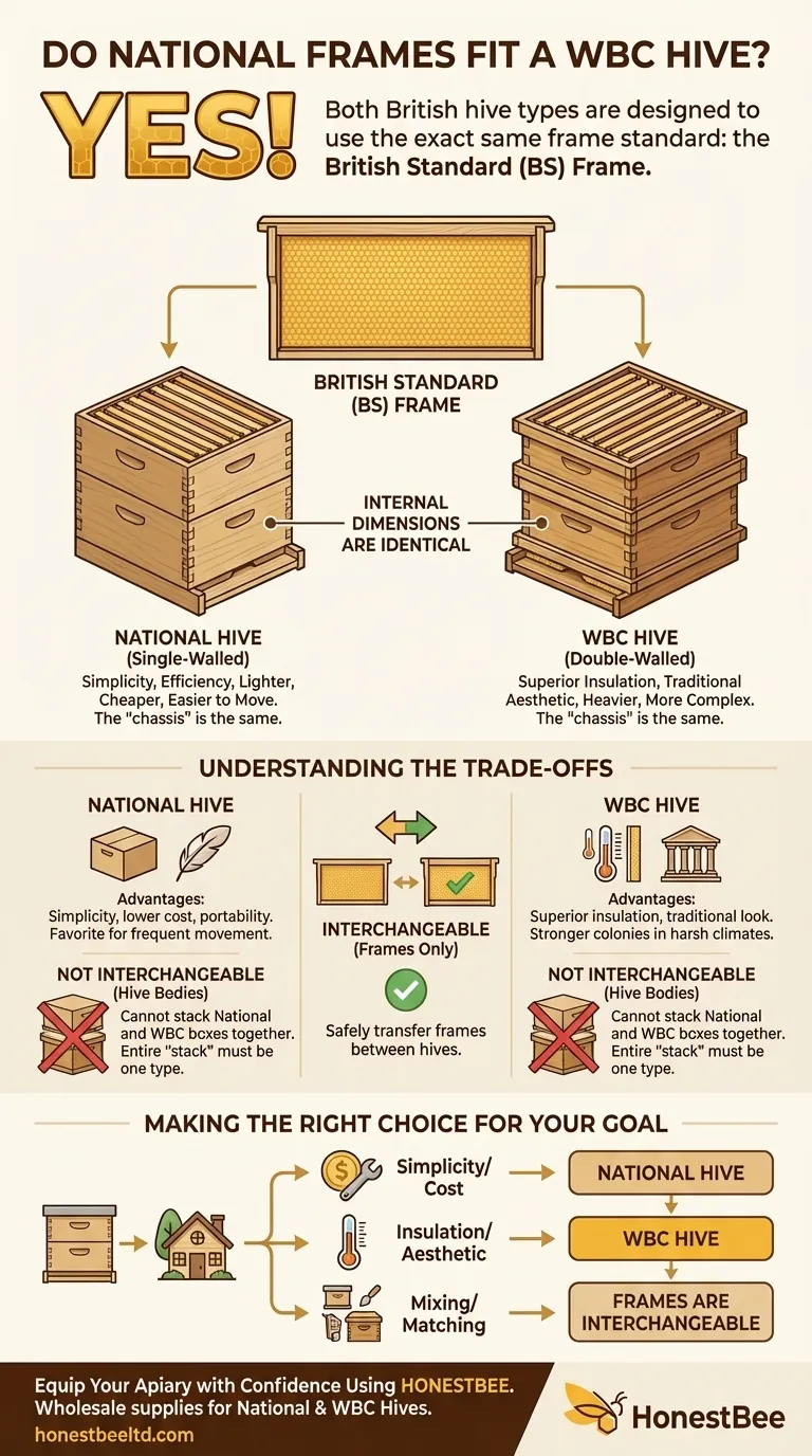 Les cadres de ruche National conviennent-ils à une ruche WBC ? Un guide sur la compatibilité des cadres British Standard Guide Visuel