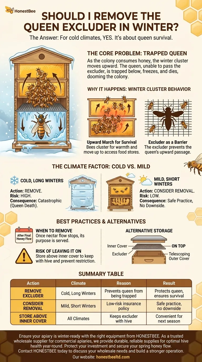Should I remove queen excluder in winter? Essential Winter Prep for Hive Survival Visual Guide