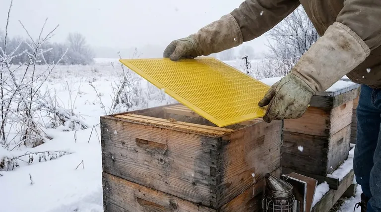 Should I remove queen excluder in winter? Essential Winter Prep for Hive Survival