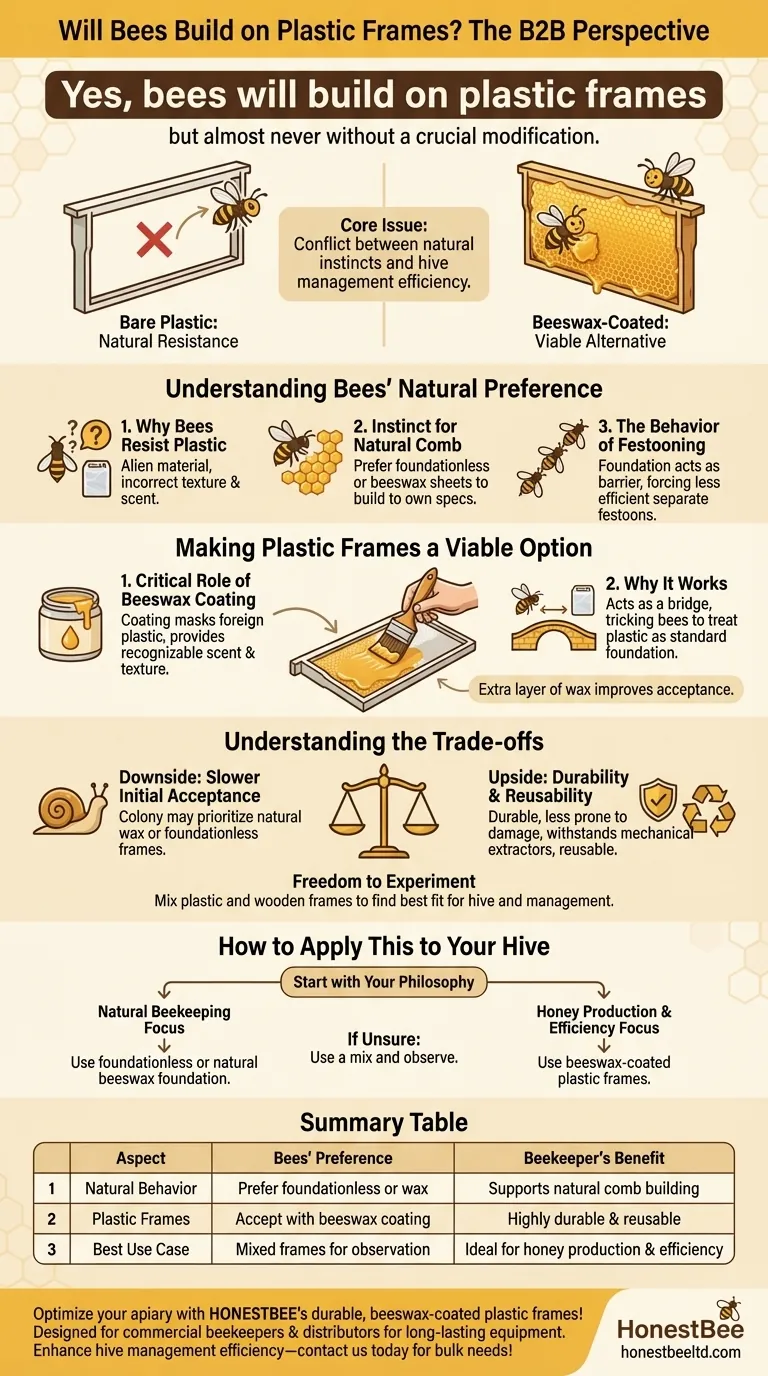 Les abeilles construisent-elles sur des cadres en plastique ? La clé d'une gestion réussie de la ruche Guide Visuel
