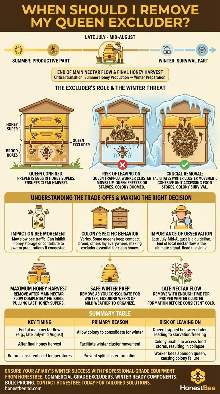 Quando devo remover meu excluidor de rainha? O momento é crucial para a sobrevivência das abelhas no inverno Guia Visual