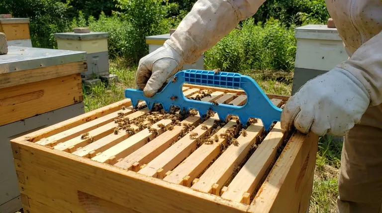 Why use 9 frames in a 10 frame hive? Optimize Honey Harvesting with Strategic Spacing