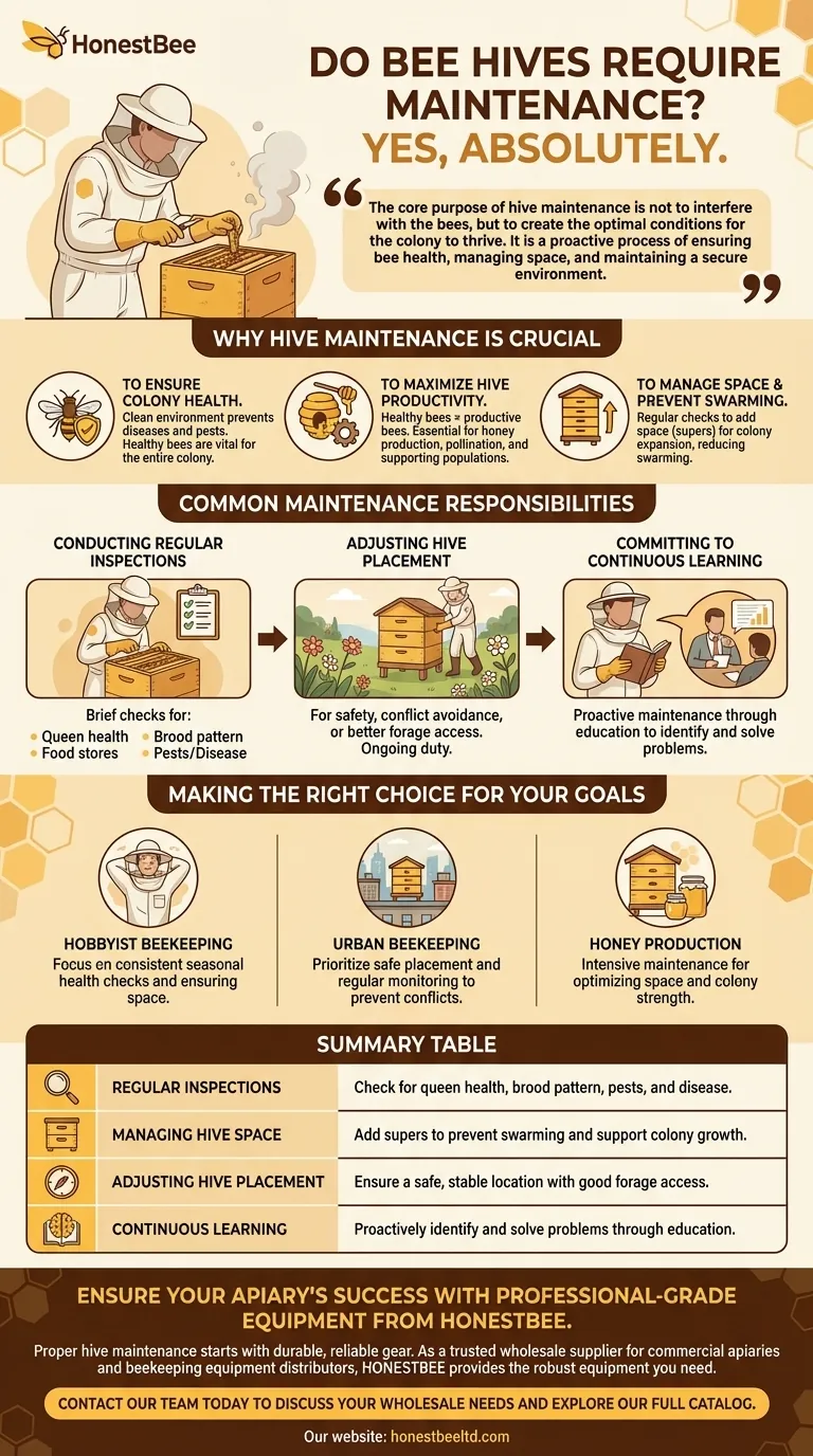 Gli alveari richiedono manutenzione? Pratiche essenziali per una colonia sana e produttiva Guida Visiva