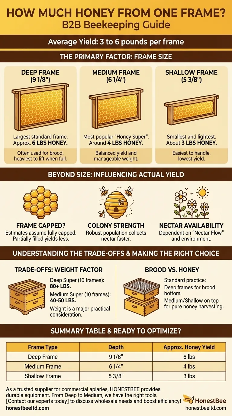 How much honey can you get from one frame? Maximize Your Harvest with the Right Frame Size Visual Guide