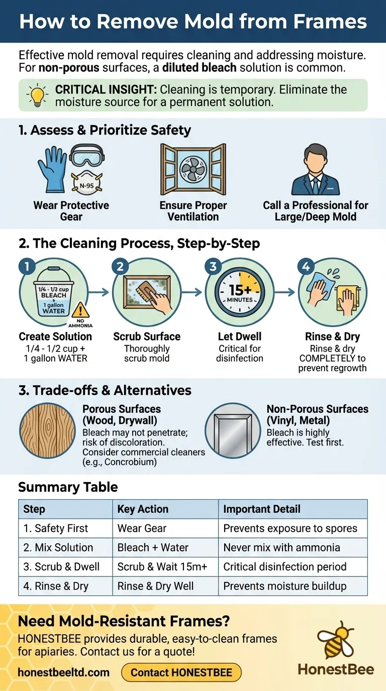 How to remove mold from frames? A Guide to Safe, Effective Mold Removal Visual Guide