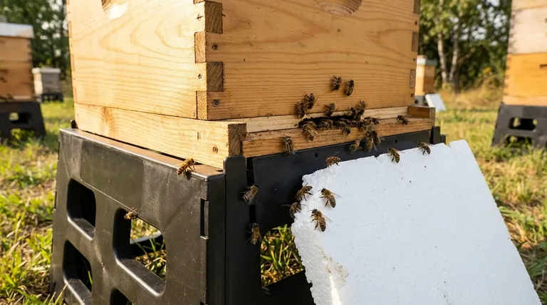 꿀벌은 플라스틱을 씹어 부술 수 있나요? 벌집을 벌 손상으로부터 보호하세요