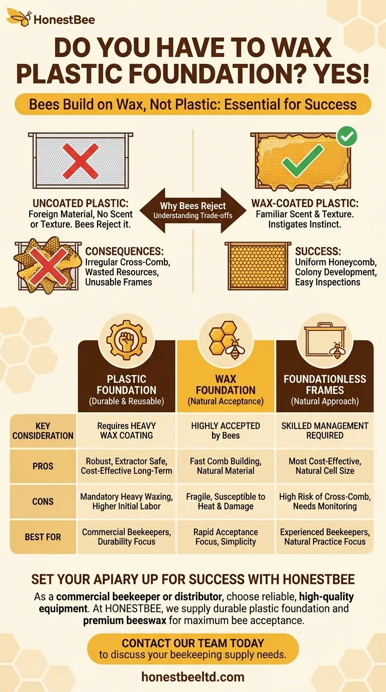Do you have to wax plastic foundation? Ensure Proper Comb Building for Your Hives Visual Guide