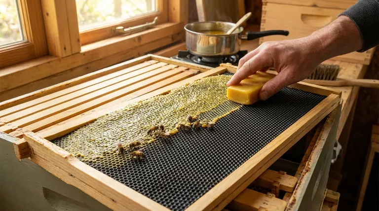 Do you have to wax plastic foundation? Ensure Proper Comb Building for Your Hives