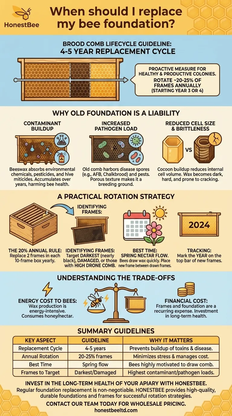 Quando dovrei sostituire il mio favo? Una guida proattiva alla salute dell'alveare Guida Visiva