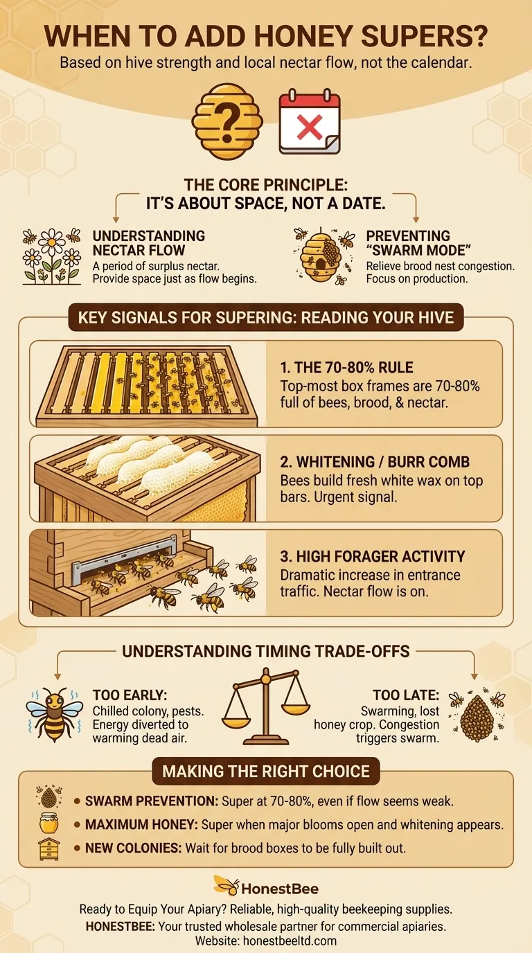 Em que mês você adiciona as caixas de mel (honey supers)? Domine a Arte do Momento Perfeito para as Suas Colmeias Guia Visual