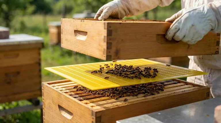 여왕벌 배제 장치는 얼마나 중요합니까? 깨끗한 꿀과 벌통 관리를 위해 필수적입니다