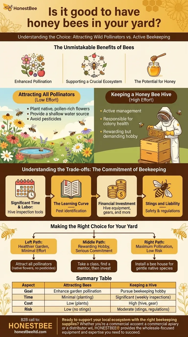 Is it good to have honey bees in your yard? A Guide to Boosting Your Garden's Health Visual Guide