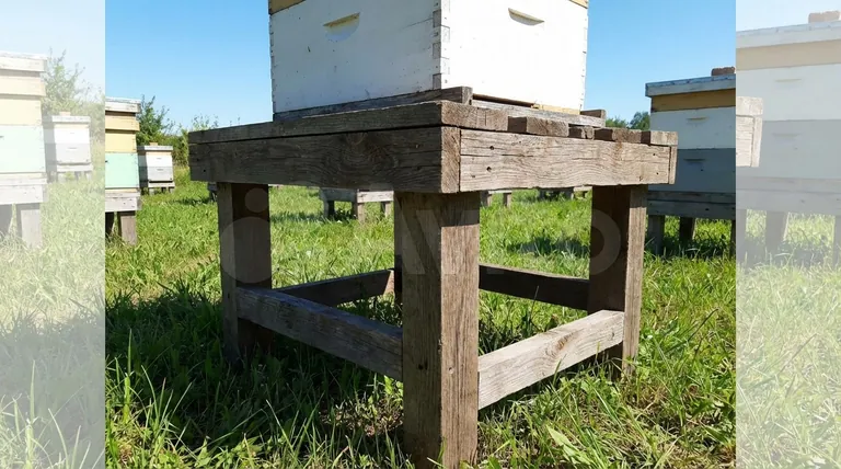 What is a hive stand? A Foundation for Healthier, More Manageable Beehives