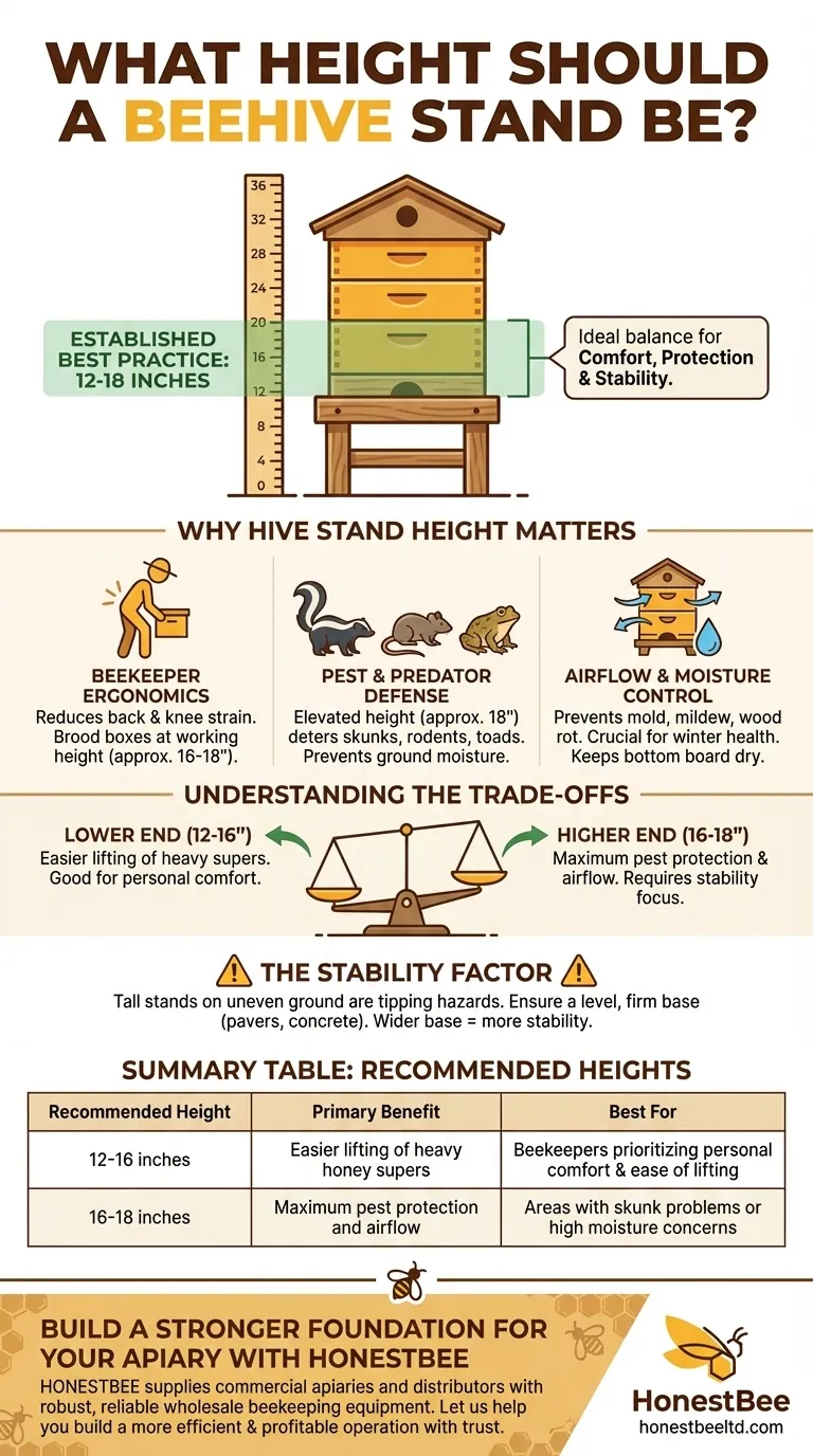 What height should a beehive stand be? Achieve the Perfect Balance for Your Apiary Visual Guide
