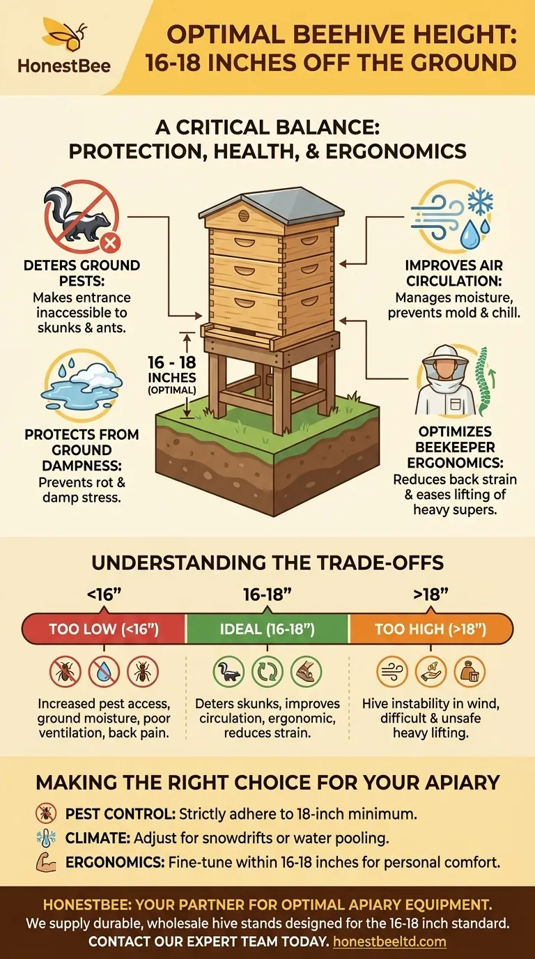 A che altezza da terra dovrebbe essere il mio alveare? Ottimizzare per parassiti, salute e ergonomia Guida Visiva