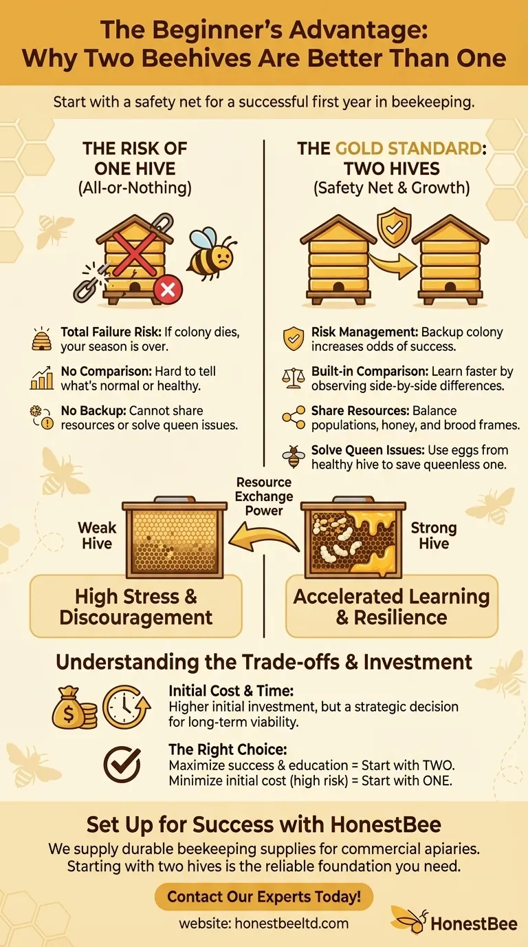 Quante arnie dovrebbe iniziare un principiante? Inizia con 2 per un tasso di successo più elevato Guida Visiva