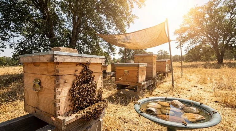 벌집에 너무 뜨거운 온도는 언제일까요? 치명적인 온도에서 애벌레를 보호하세요