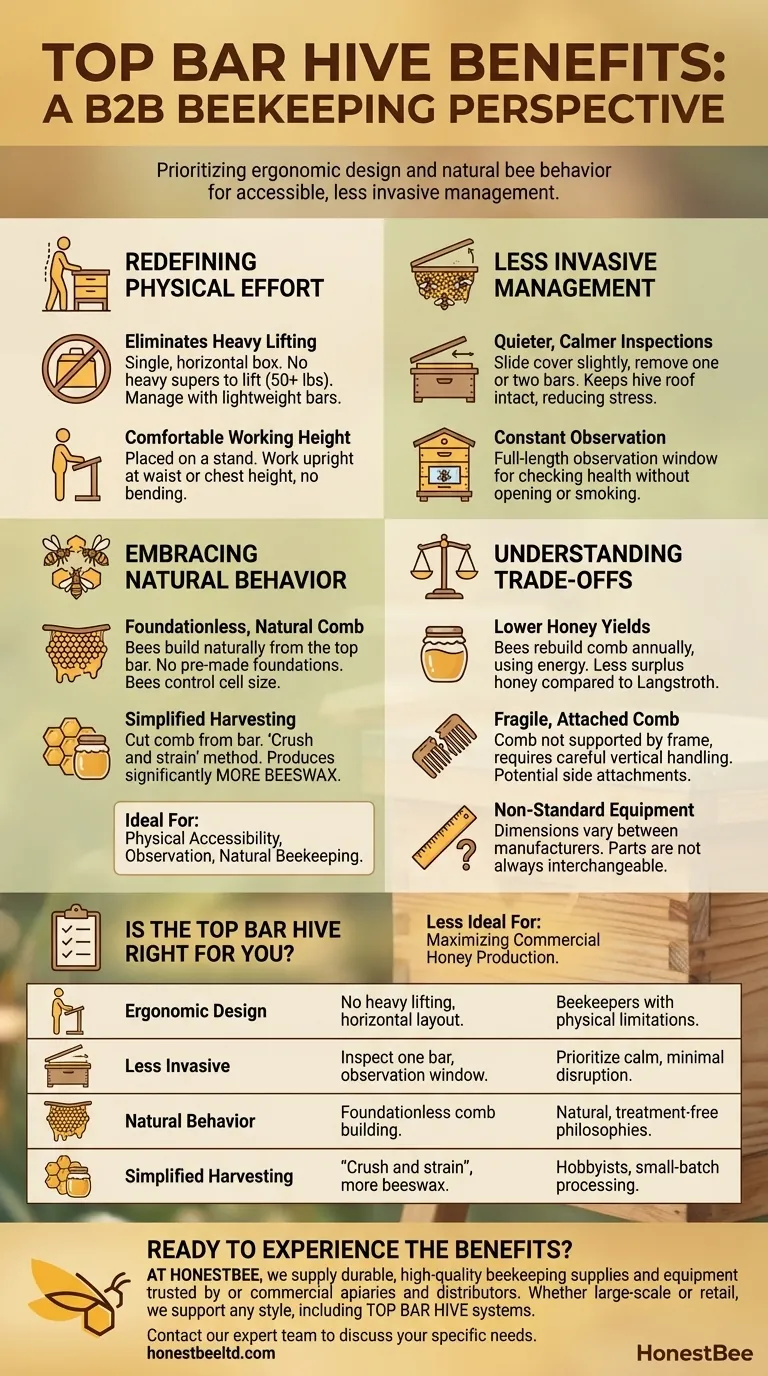 What are the benefits of the top bar hive? A Guide to Ergonomic, Natural Beekeeping Visual Guide