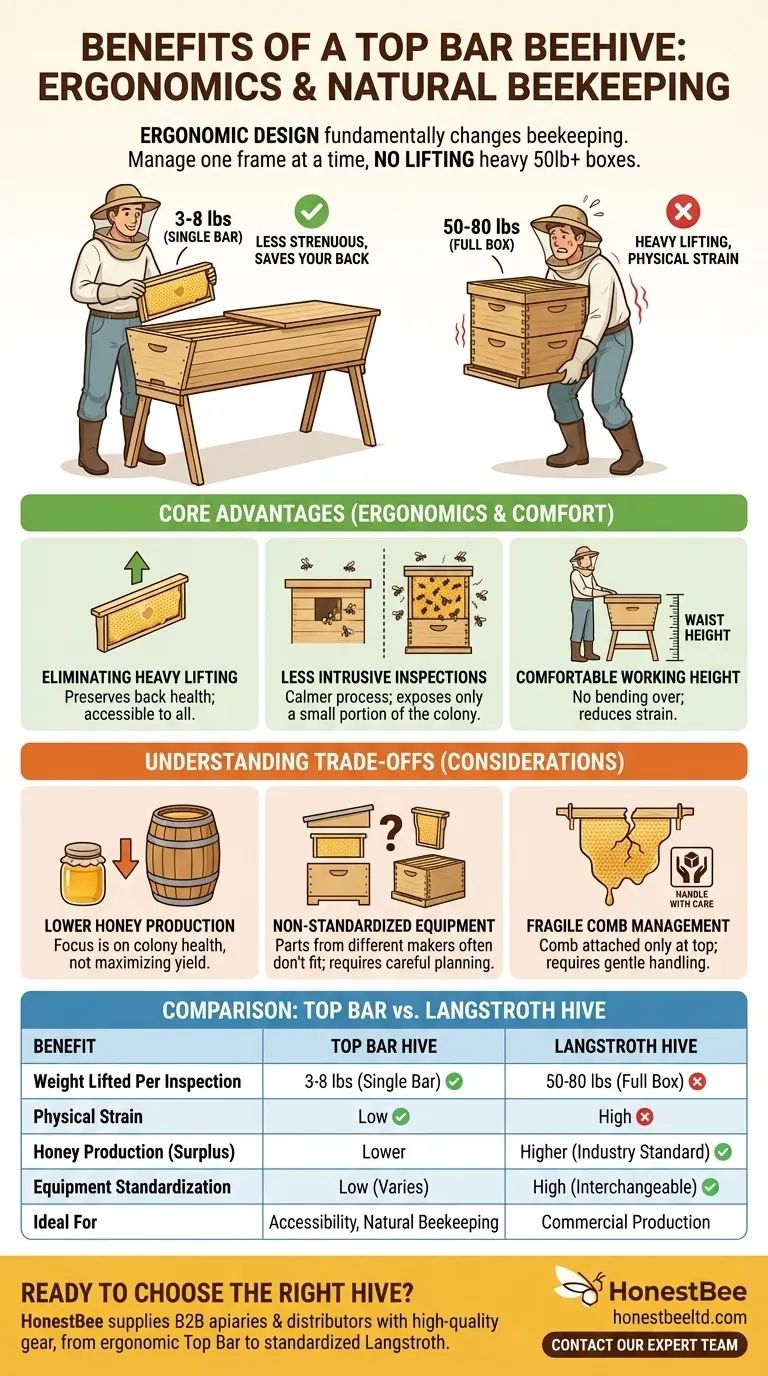 What are the benefits of a top bar beehive? Ergonomic Design for Easier, Strain-Free Beekeeping Visual Guide