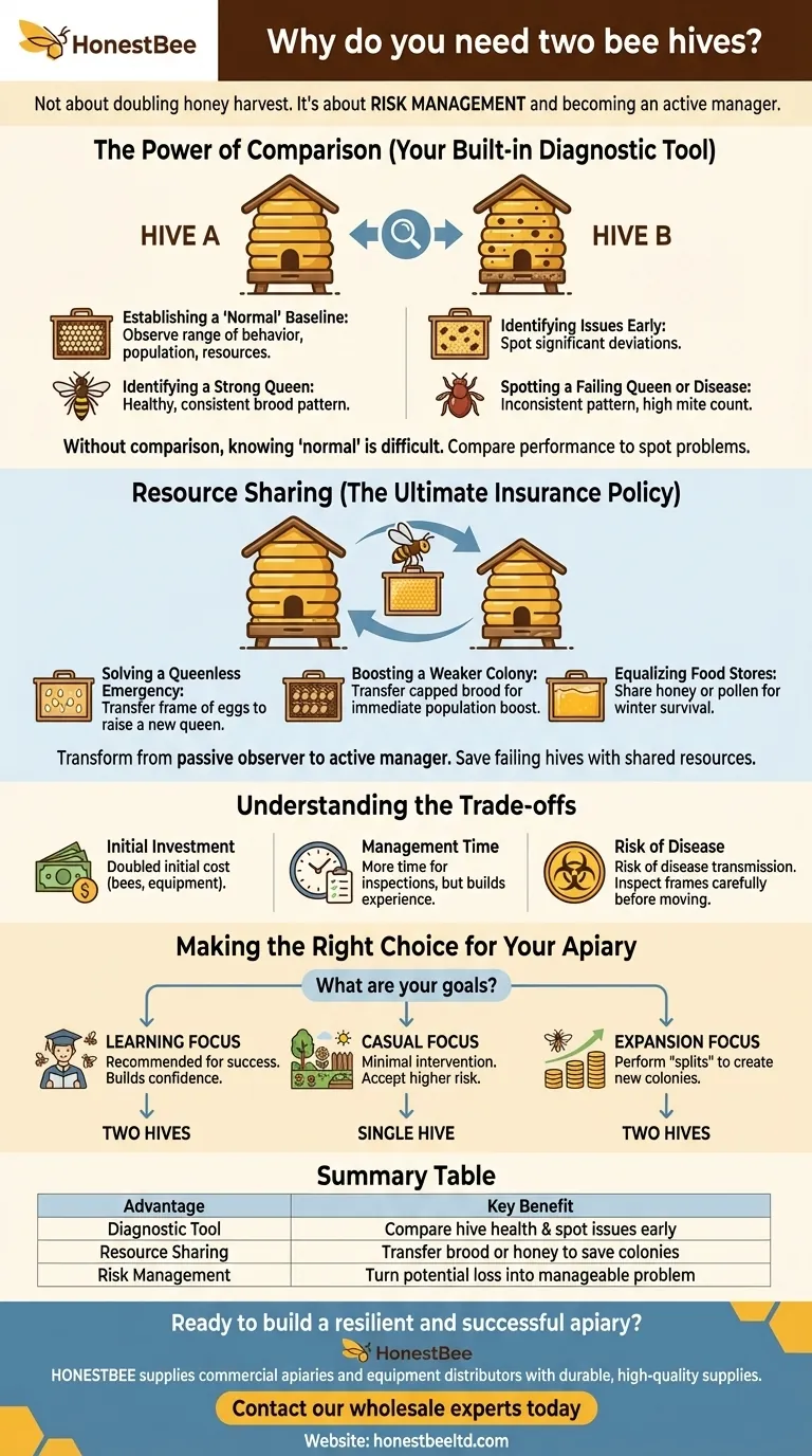 Why do you need two bee hives? Boost Your Apiary's Success with Smart Risk Management Visual Guide