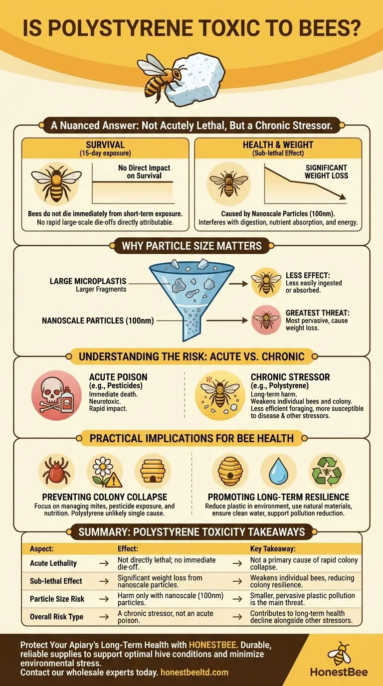 폴리스티렌은 꿀벌에게 유독한가요? 군집 건강에 대한 숨겨진 위협 시각적 가이드