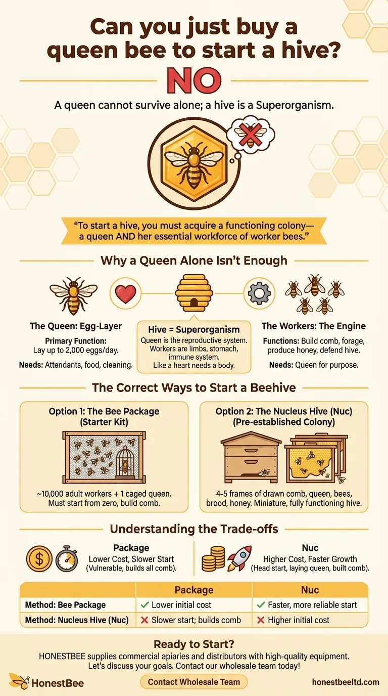 여왕벌만 사서 벌통을 시작할 수 있나요? 아니요, 벌통을 시작하는 올바른 방법은 다음과 같습니다. 시각적 가이드