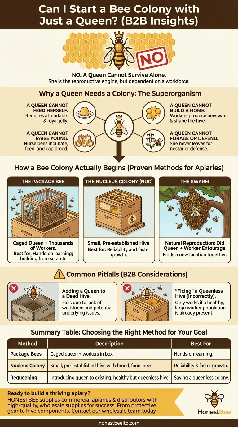 ¿Puedo empezar una colonia de abejas solo con una reina? Por qué una reina necesita una fuerza de trabajo Guía Visual
