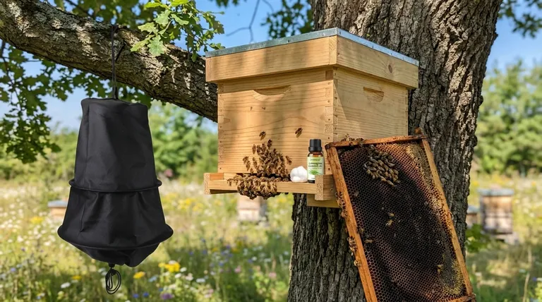 ¿Cómo atraer abejas a una caja de abejas? Crea un hogar irresistible para los enjambres de abejas melíferas