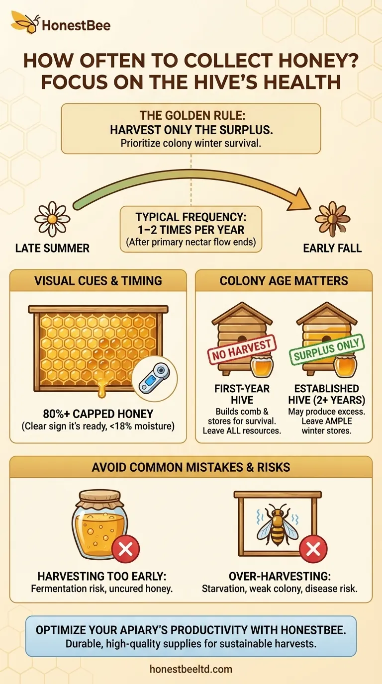 How often do beekeepers collect honey? Maximize Your Hive's Sustainable Yield Visual Guide