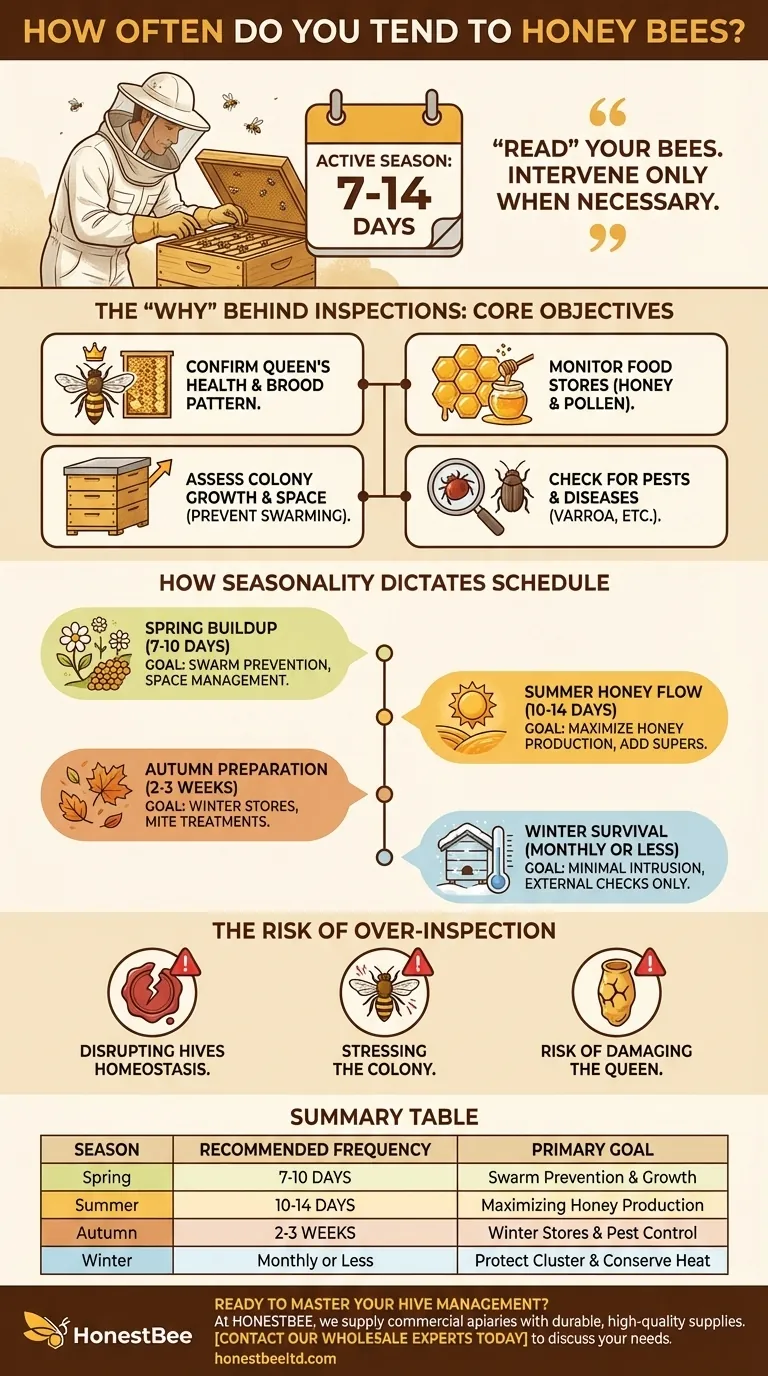 Con quale frequenza tendi a controllare le api mellifere? Ottimizza le ispezioni dell'arnia per avere api sane Guida Visiva