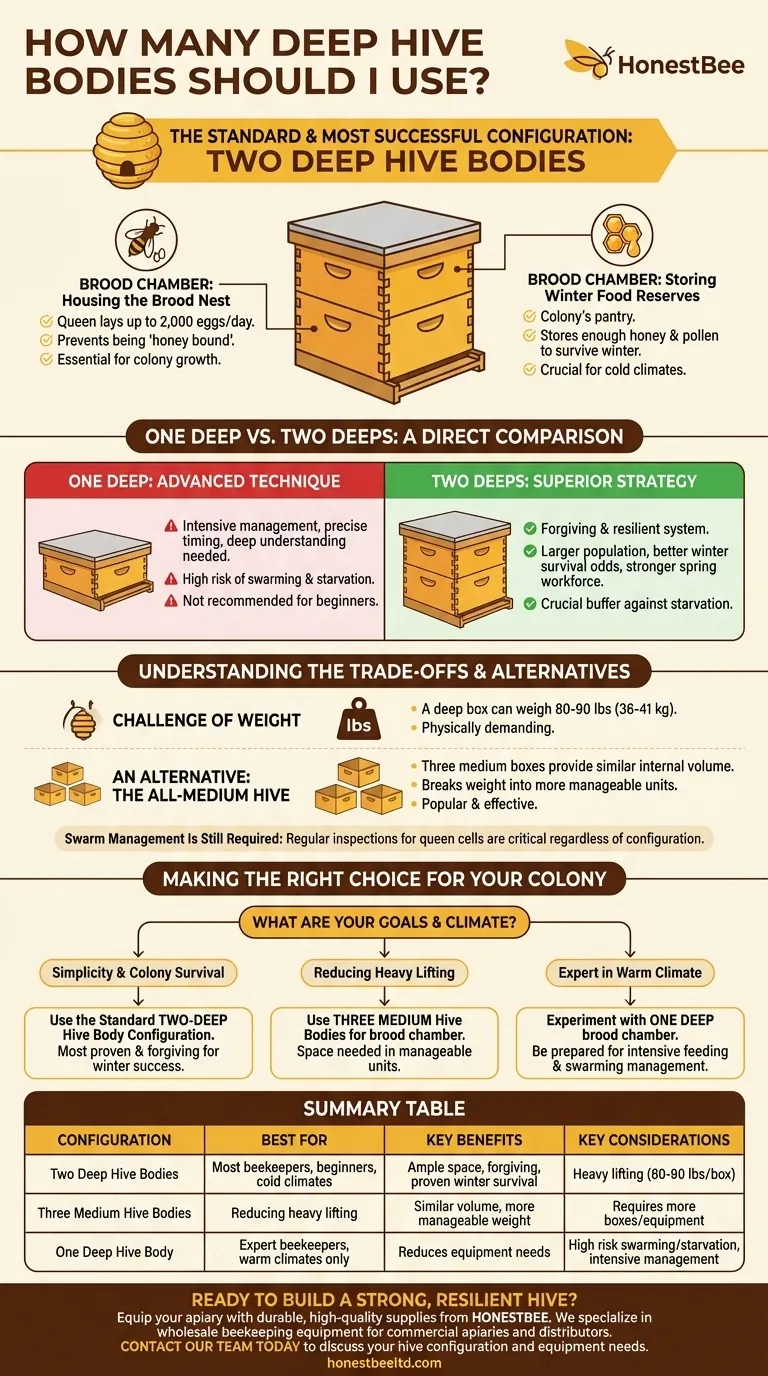How many deep hive bodies should I use? The Standard for a Healthy, Winter-Ready Colony Visual Guide