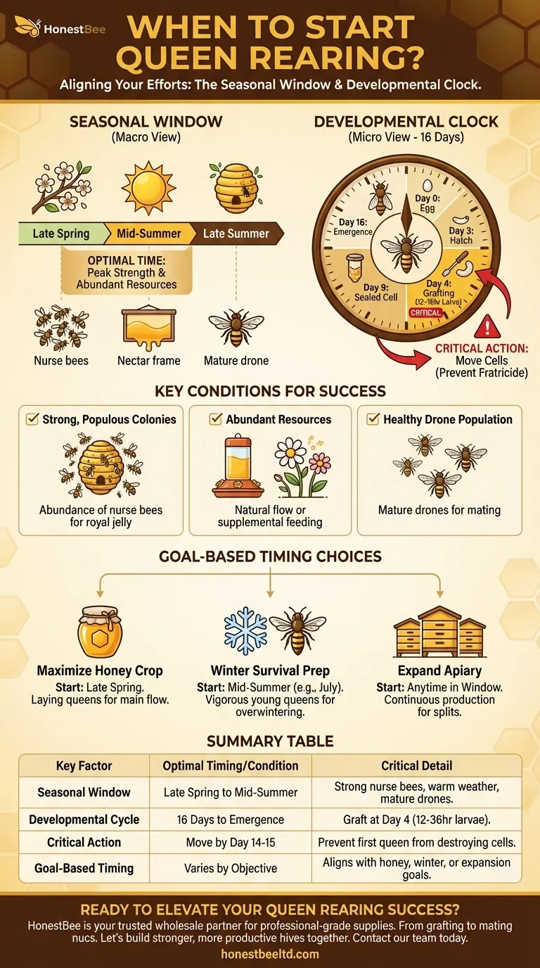 When to start queen rearing? Master the Perfect Timing for Healthy Hives Visual Guide