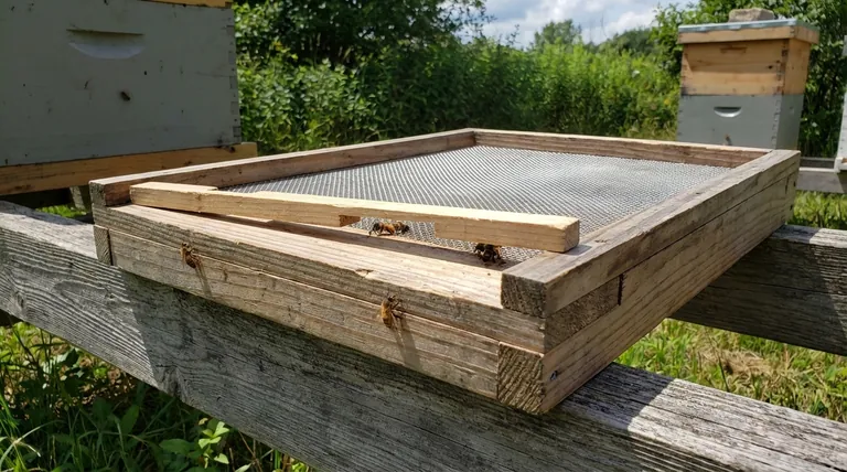 Quali tipi di rete metallica sono disponibili per il fondo dell'arnia e quali sono i loro vantaggi? Migliora la salute dell'alveare e il controllo degli acari