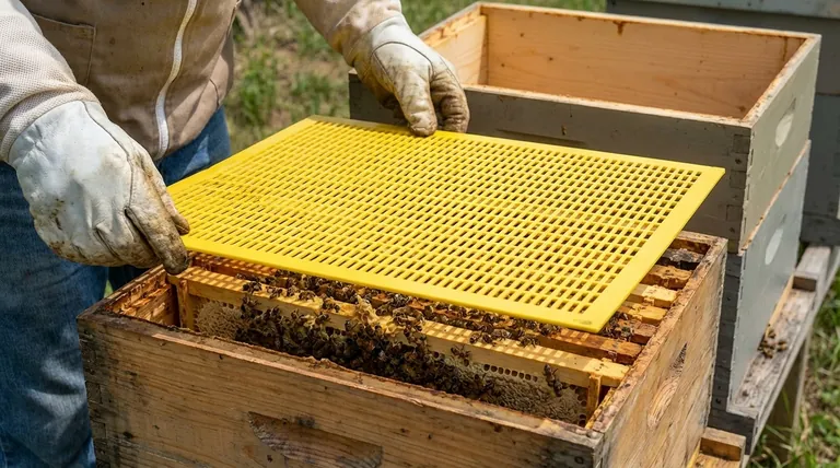 What is the purpose of a queen excluder in beekeeping? Achieve Pure Honey & Simplified Hive Management