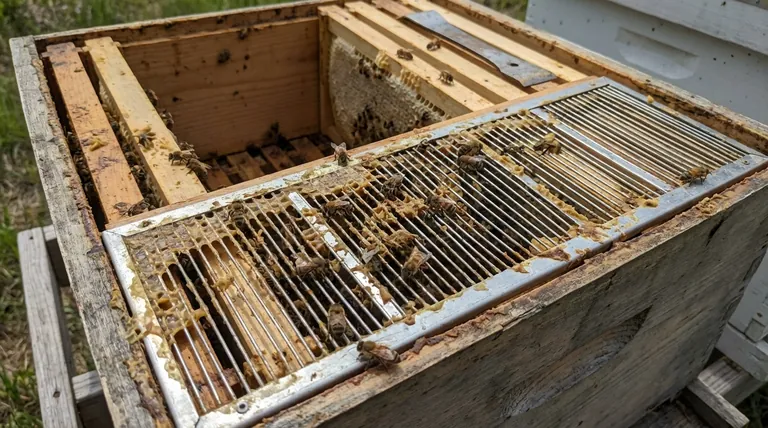 Какое обслуживание требуется для разделительных решеток? Основные шаги для максимального производства меда