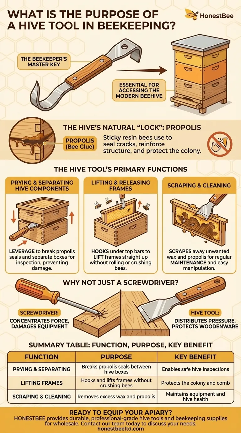 Quel est l'objectif d'un lève-cadre (ou outil de ruche) en apiculture ? La clé essentielle polyvalente pour votre rucher Guide Visuel
